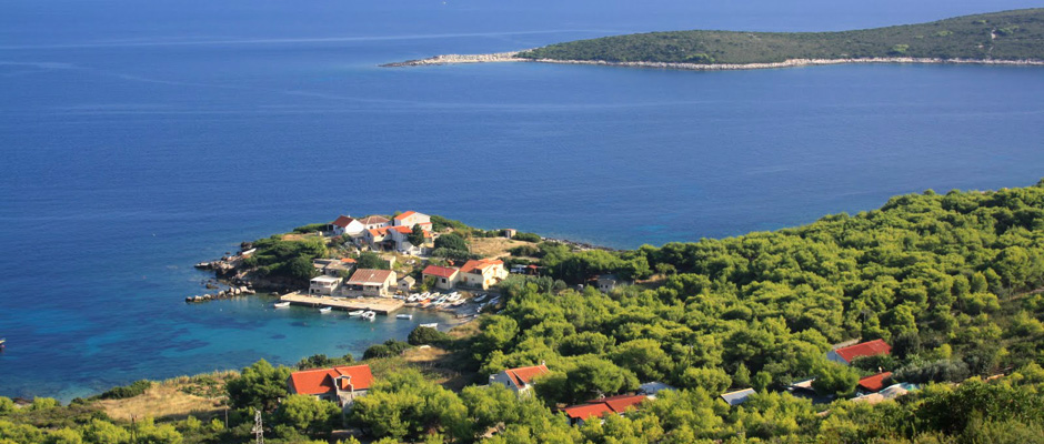 Vis